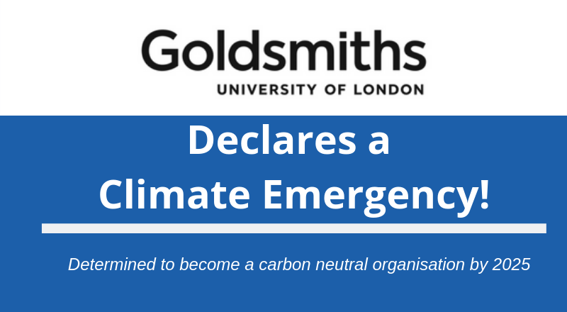 Goldsmiths pledges action on climate emergency