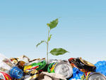 Waste Management Topic Support Network image #1